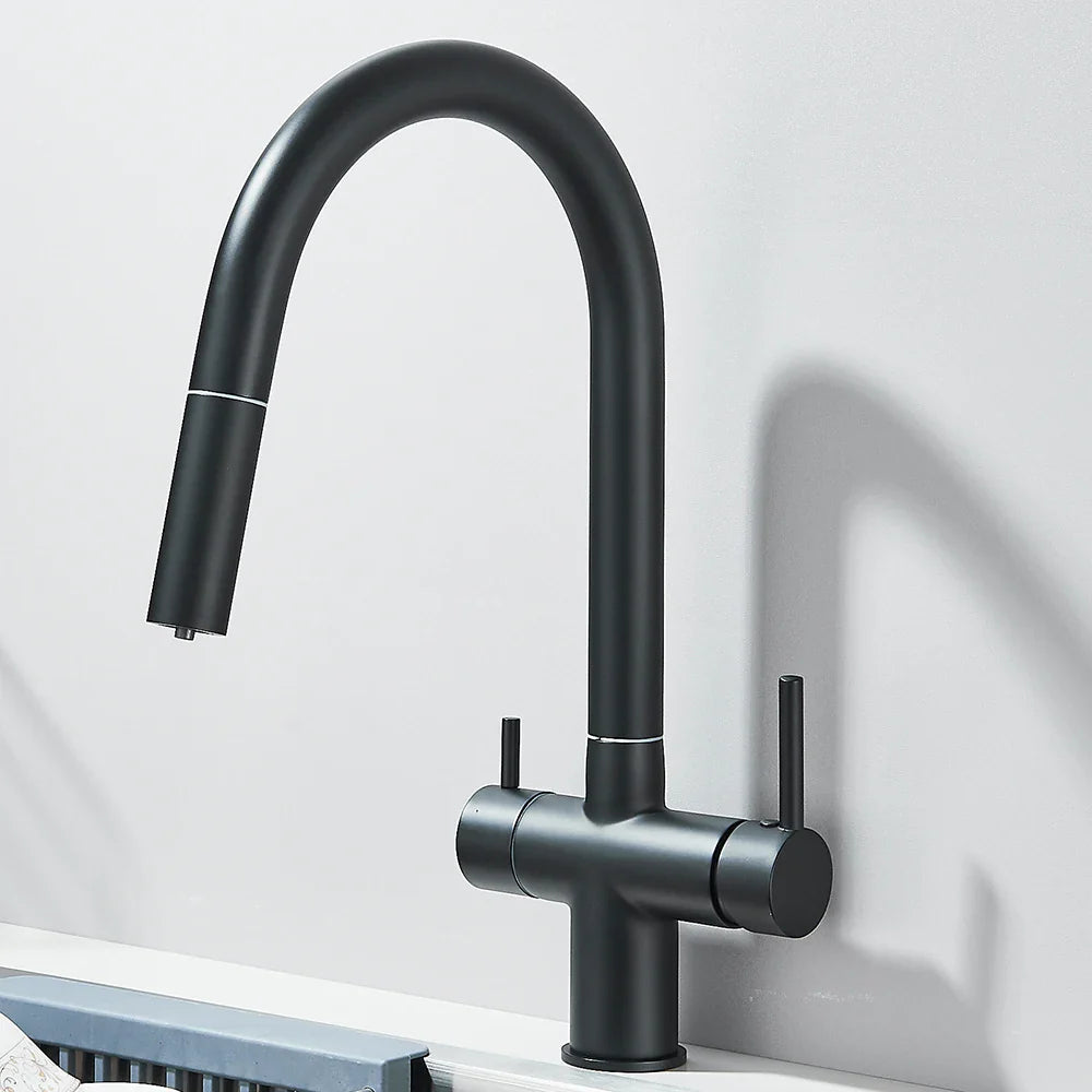 Filtered Kitchen Sink Faucet With Retractable Sprayer Brass Water Filter Tap Drinking Water Tap Vessel Sink Mixer For Kitchen