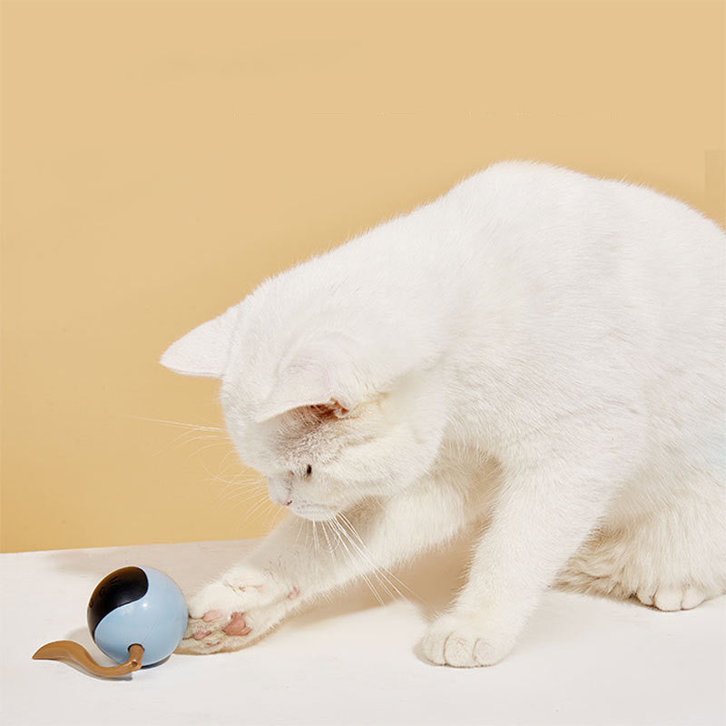 Magic Ball Pet Electric Intelligent Cat Teaser