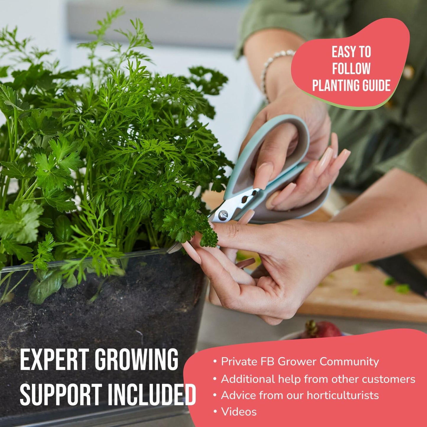 Garden Republic Salsa Grow Kit Starter Kit with Seeds Soil Planters Shears